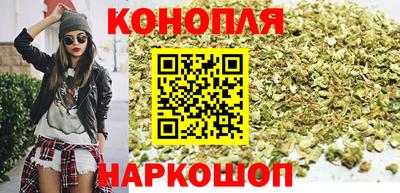 Альфа ПВП Нальчик