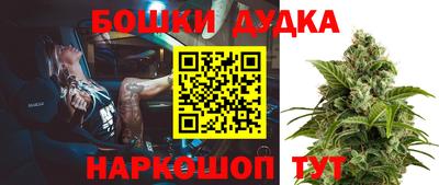 Альфа ПВП Нальчик