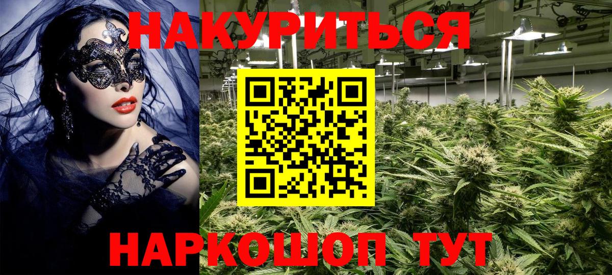 Каннабис планчик Алексин